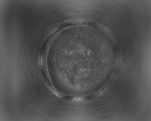 X0000084020335200702232238