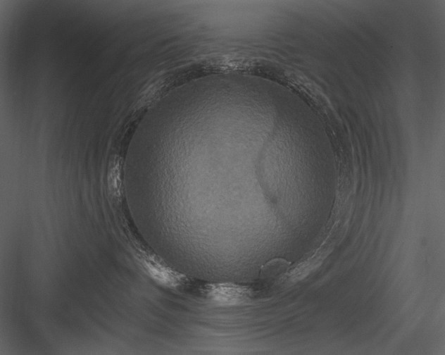 X0000084020336200702232238