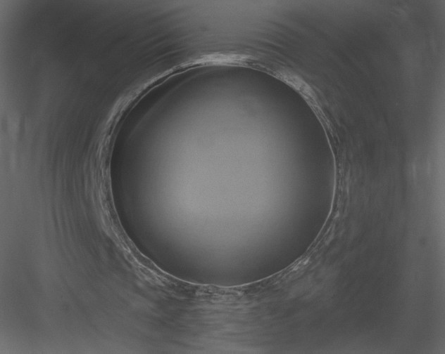 X0000084020337200702232237