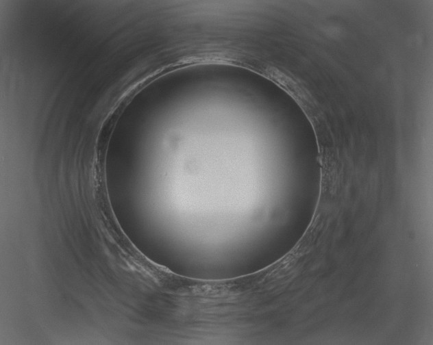 X0000084020338200702232237