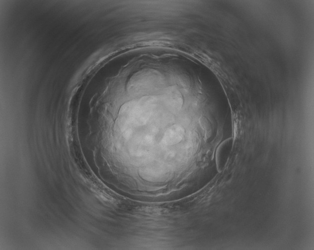 X0000084020339200702232237