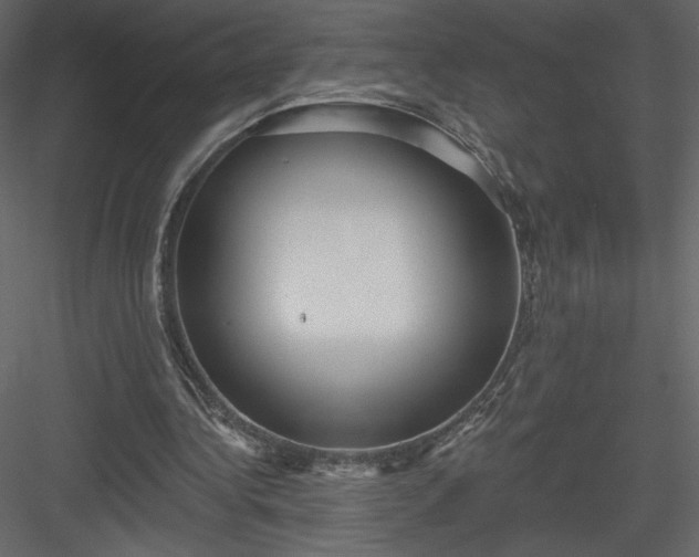 X0000084020340200702232237