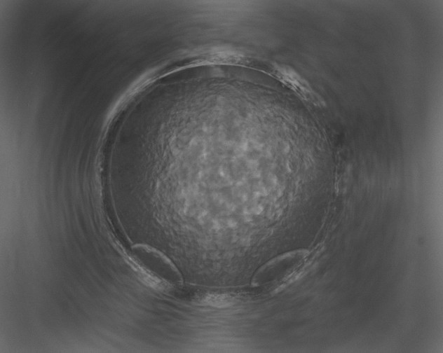 X0000084020341200702232237