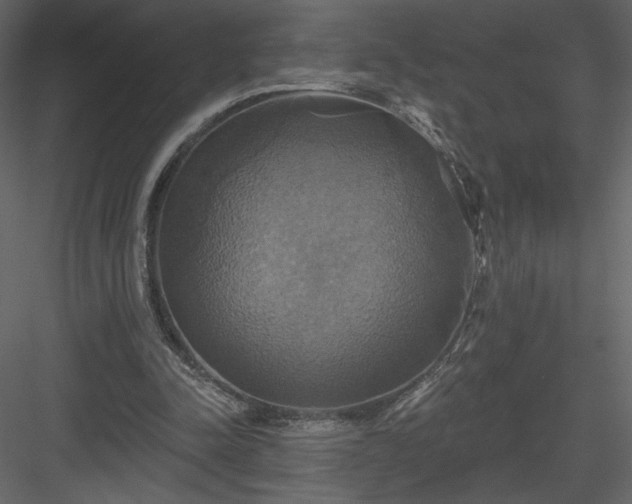 X0000084020342200702232237