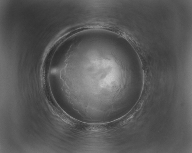 X0000084020343200702232237