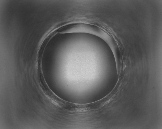 X0000084020344200702232237