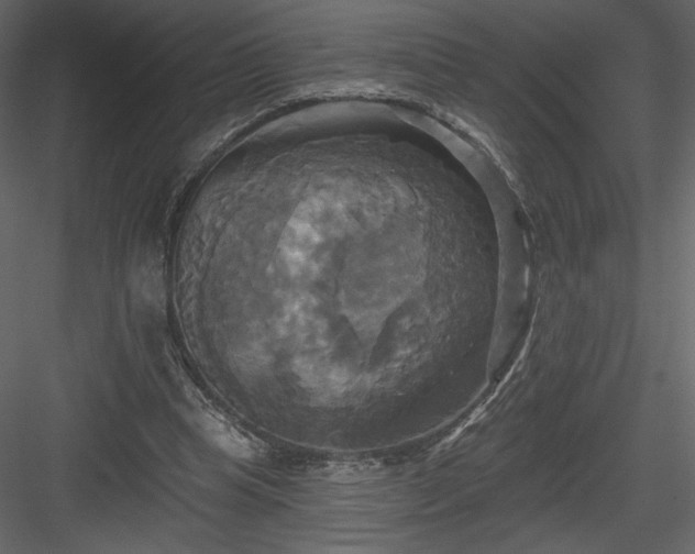 X0000084020345200702232237