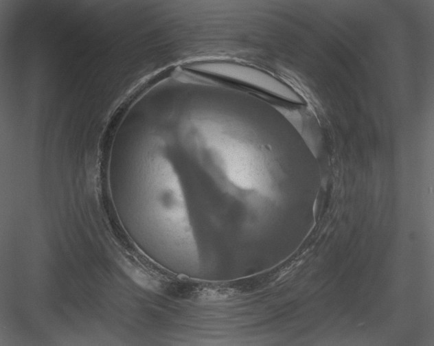 X0000084020346200702232238