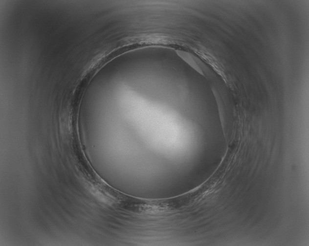 X0000084020347200702232238