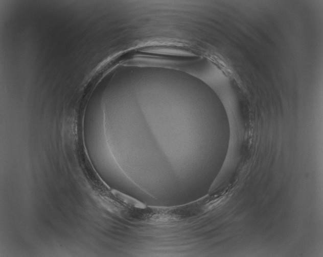 X0000084020348200702232238