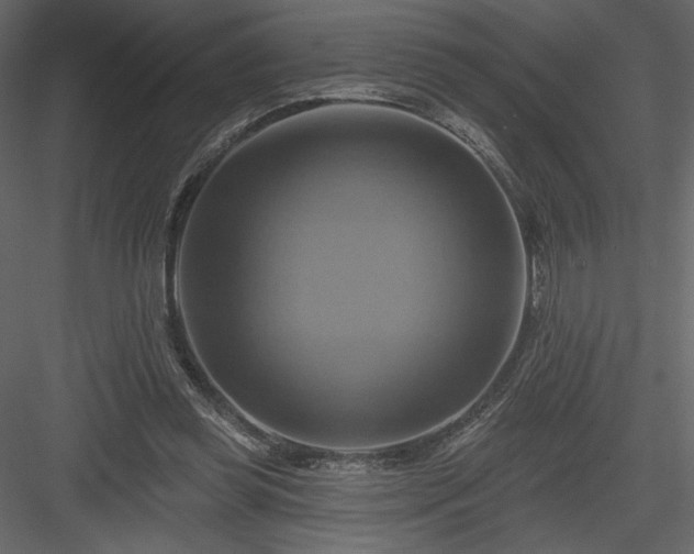 X0000084020349200702232238