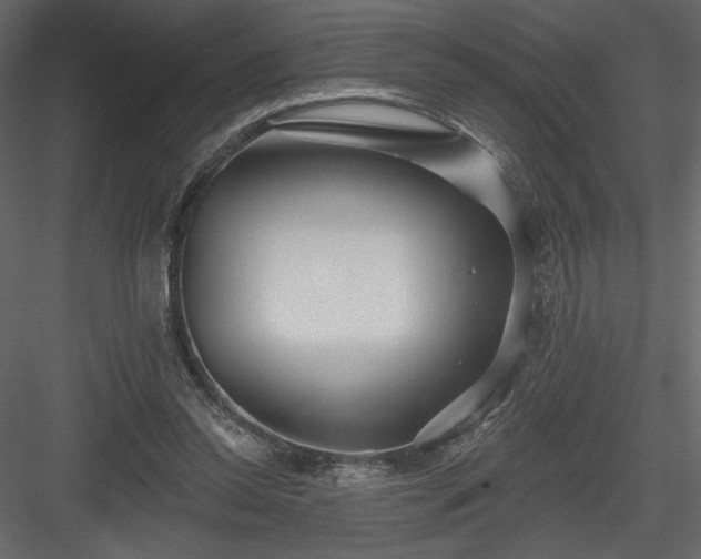 X0000084020350200702232238