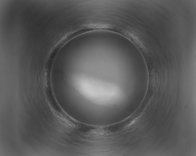 X0000084020351200702232238