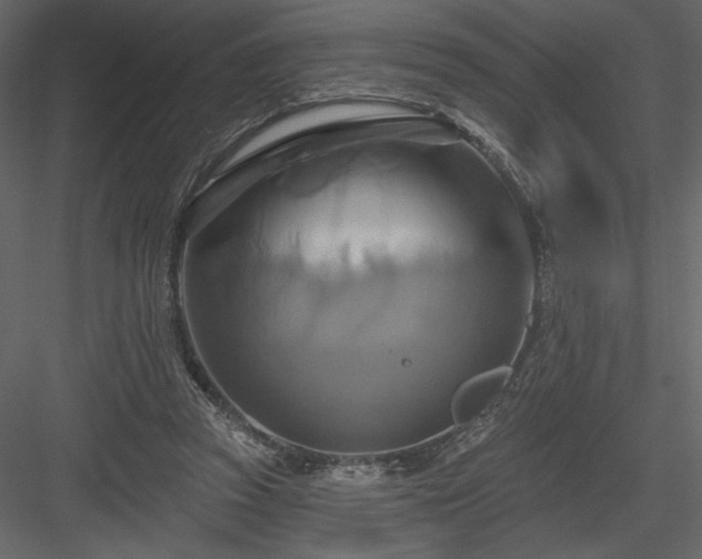 X0000084020353200702232238