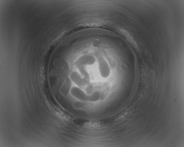 X0000084020354200702232238