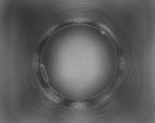 X0000084020356200702232238