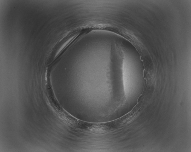 X0000084020358200702232238