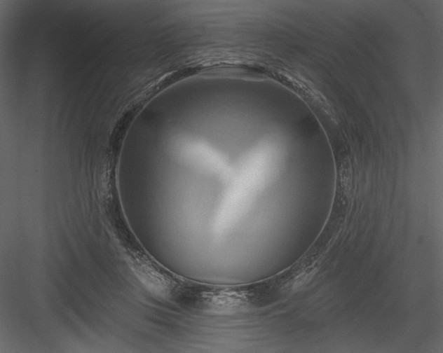 X0000084020359200702232238