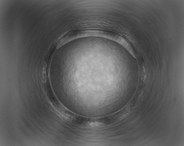 X0000084020360200702232238