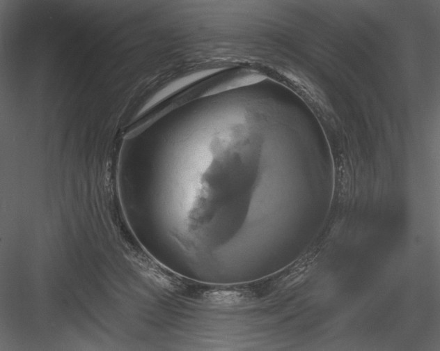 X0000084020361200702232238