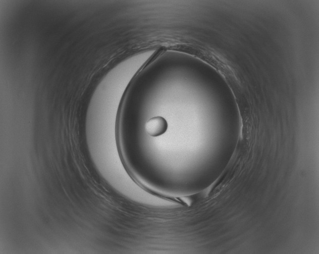 X0000084020362200702232238