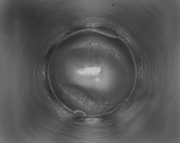 X0000084020363200702232238