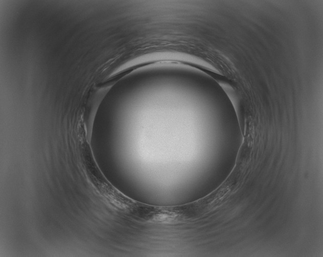 X0000084020364200702232238