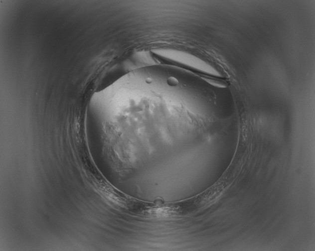 X0000084020365200702232238