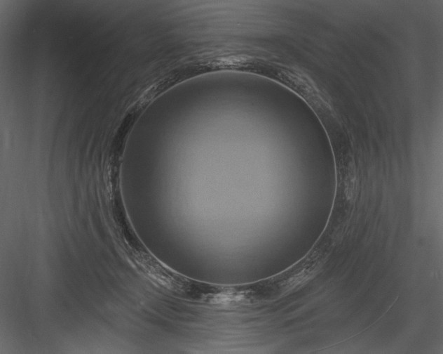 X0000084020366200702232238