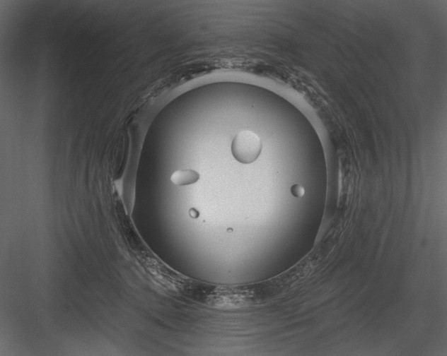 X0000084020368200702232238