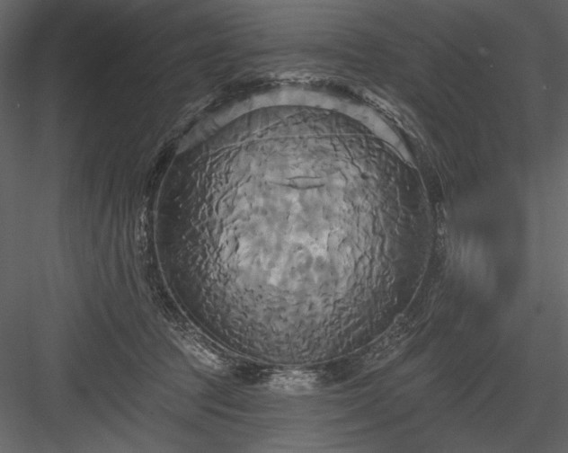 X0000084020369200702232238