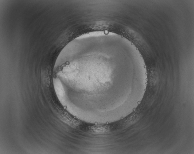 X0000084020370200702232238