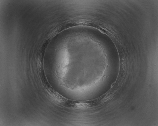 X0000084020371200702232238