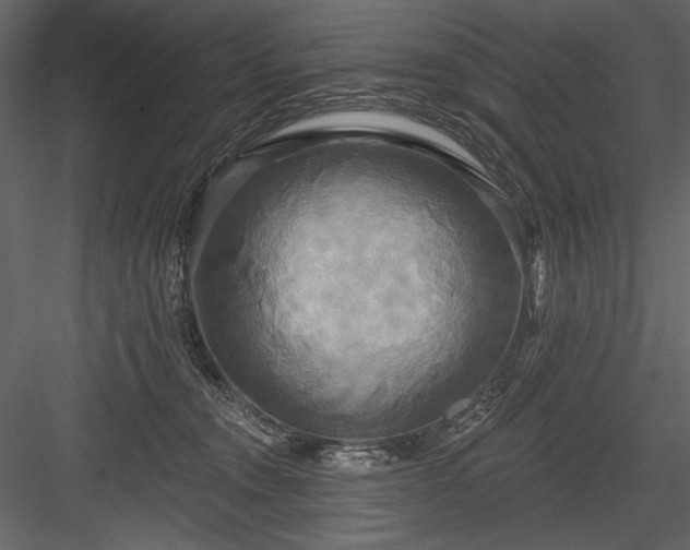 X0000084020372200702232238