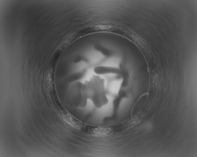 X0000084020373200702232238