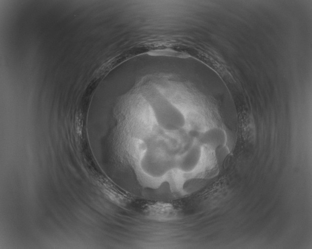 X0000084020374200702232238