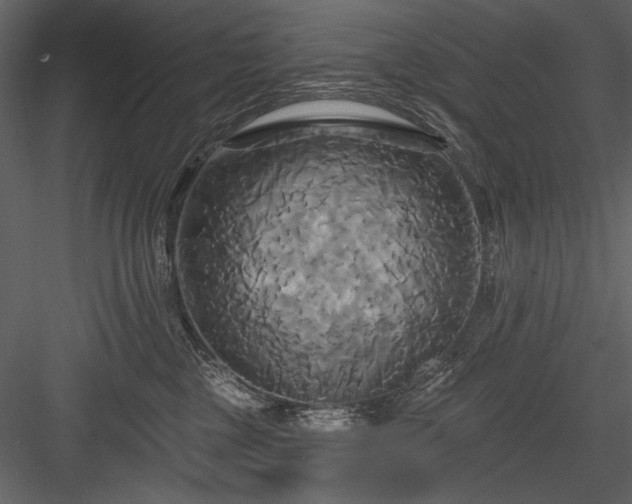 X0000084020377200702232238