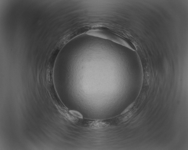 X0000084020379200702232238