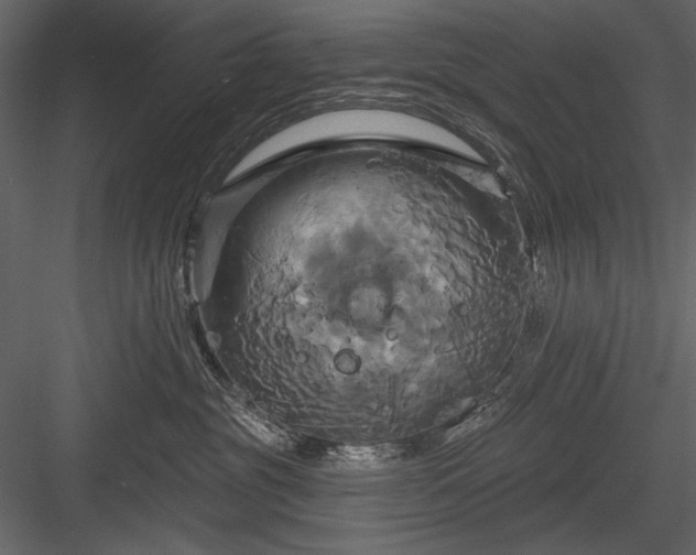 X0000084020381200702232238