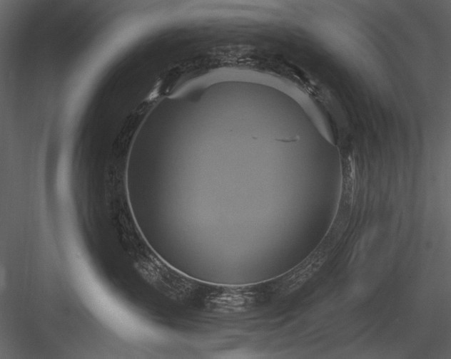 X0000084020383200702232238