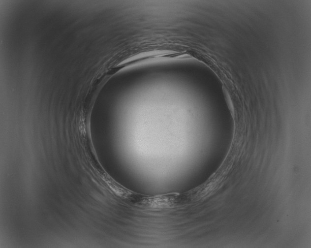 X0000084020384200702232238