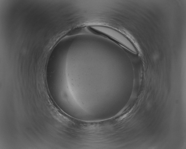 X0000084020385200702232237