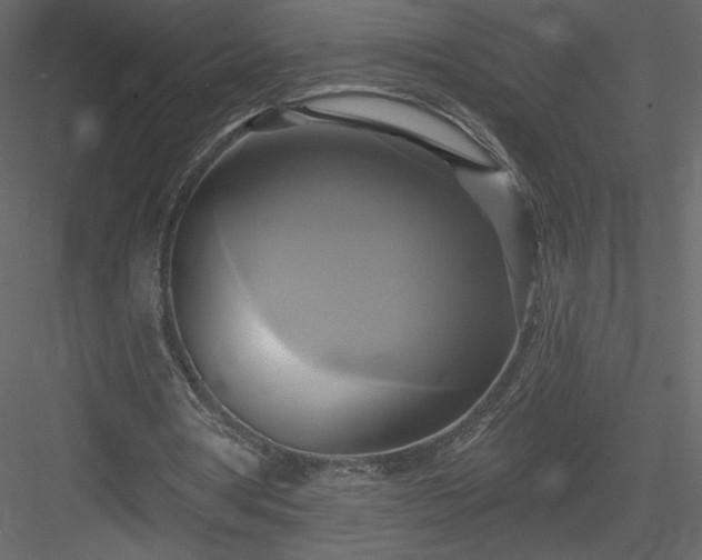 X0000084020386200702232237