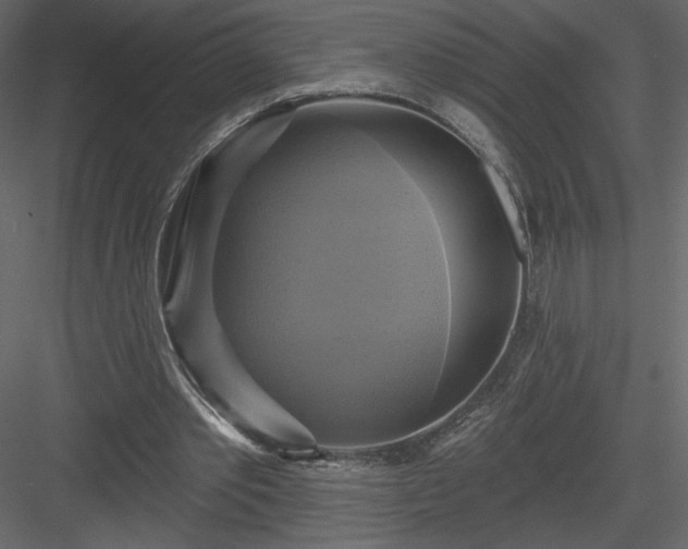 X0000084020389200702232237