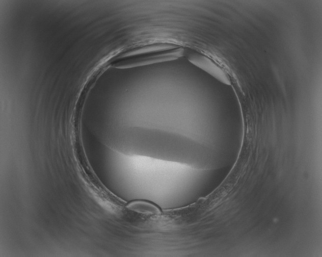 X0000084020390200702232237