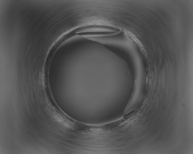 X0000084020391200702232237