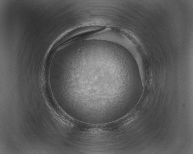 X0000084020392200702232237