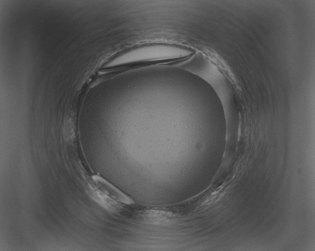 X0000084020393200702232237