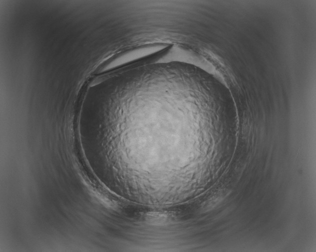 X0000084020394200702232237