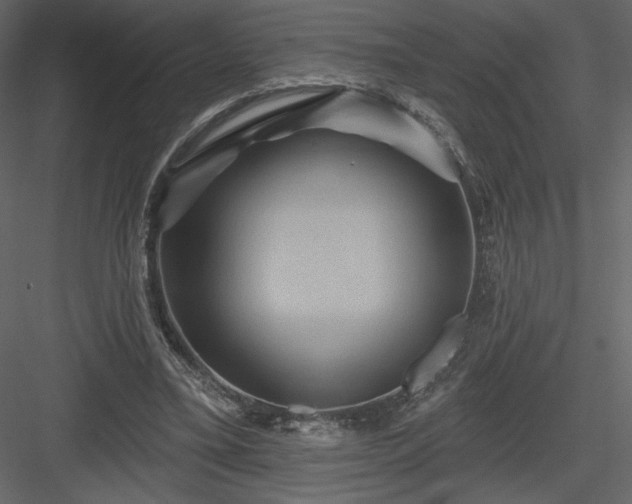 X0000084020395200702232237